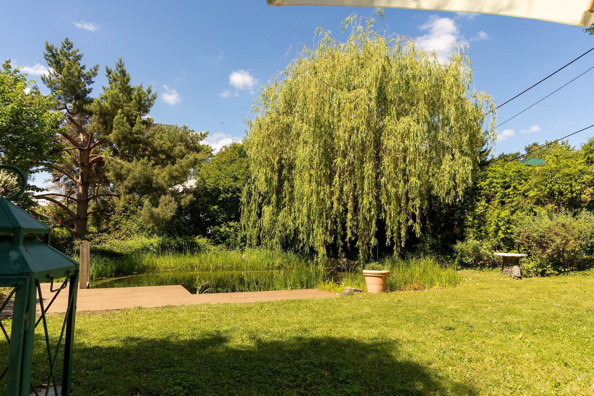 Gartenweg unter der Trauerweide
